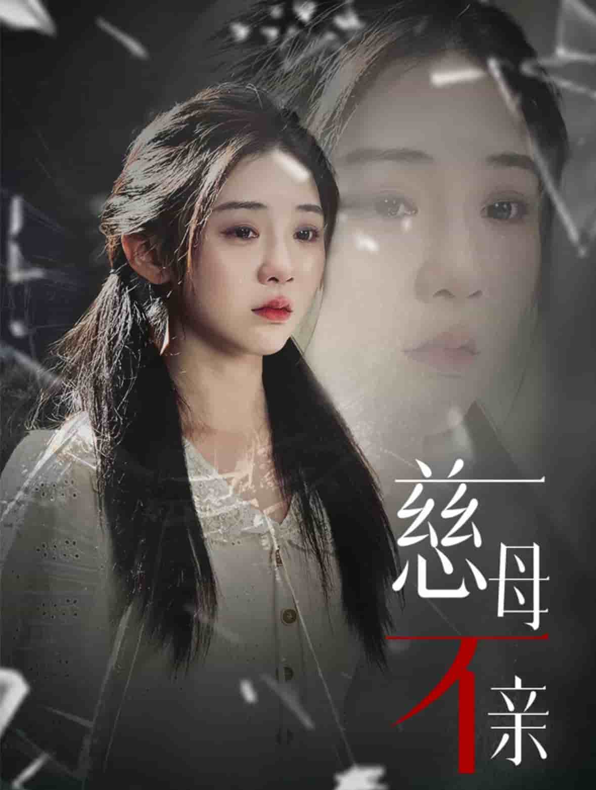 慈母不亲 第29集