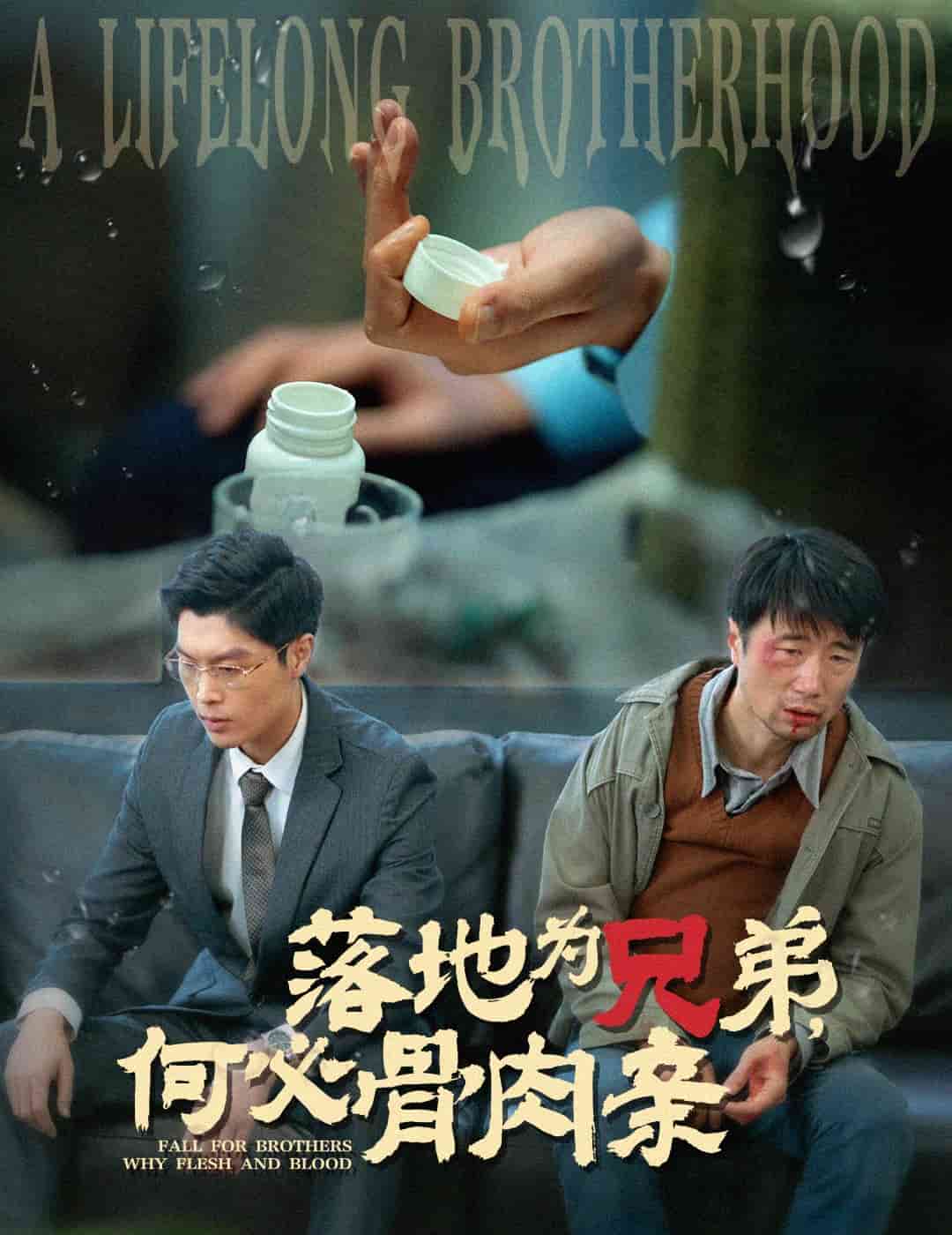 落地为兄弟，何必骨肉亲 第21-40集