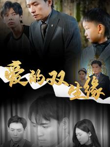 爱的双生缘 第33集