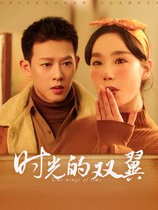 时光的双翼 第29集