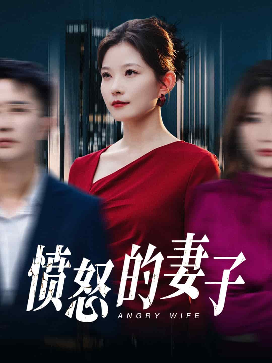 愤怒的妻子 第14集