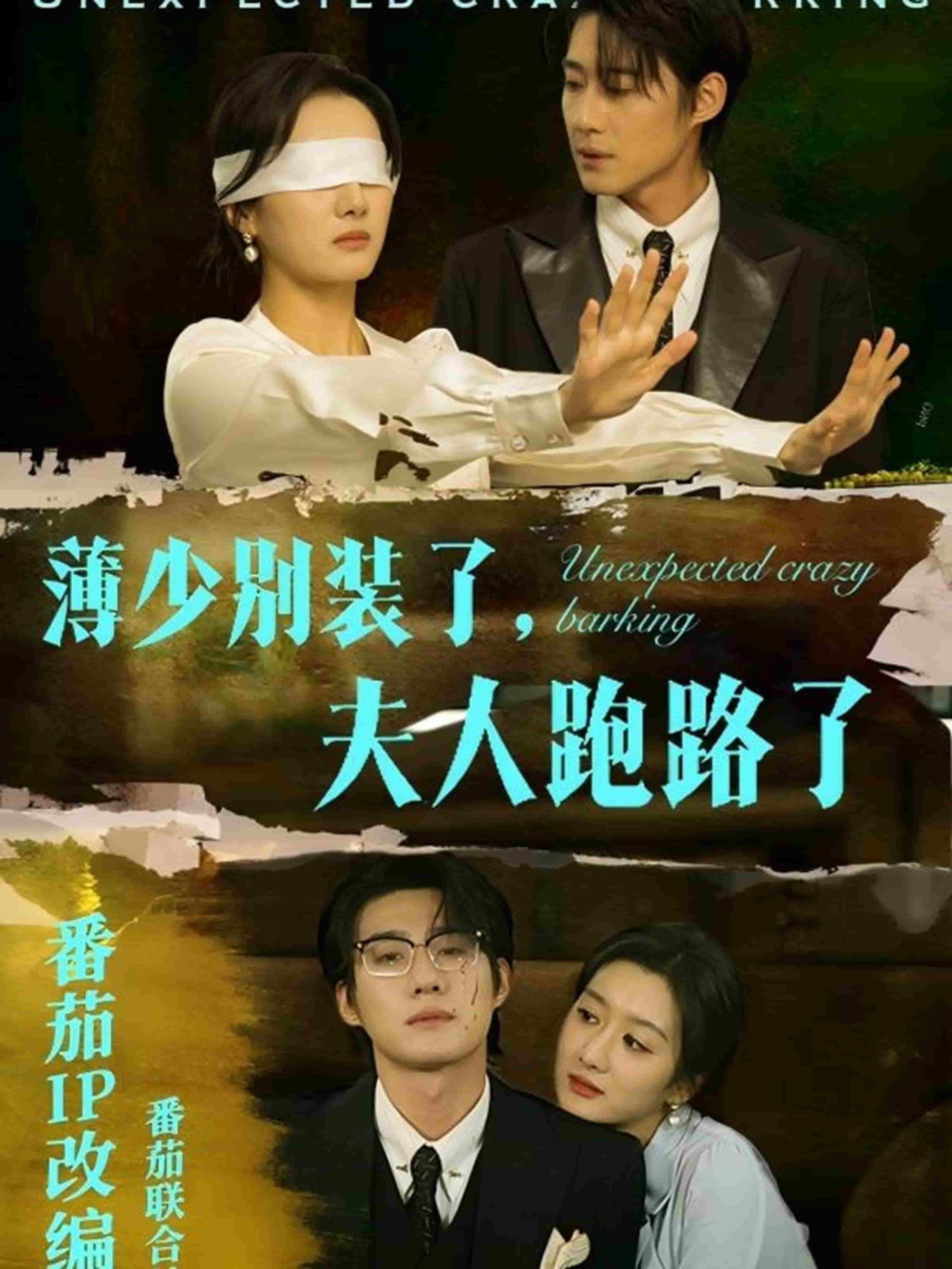 薄少别装了夫人跑路了 第53集