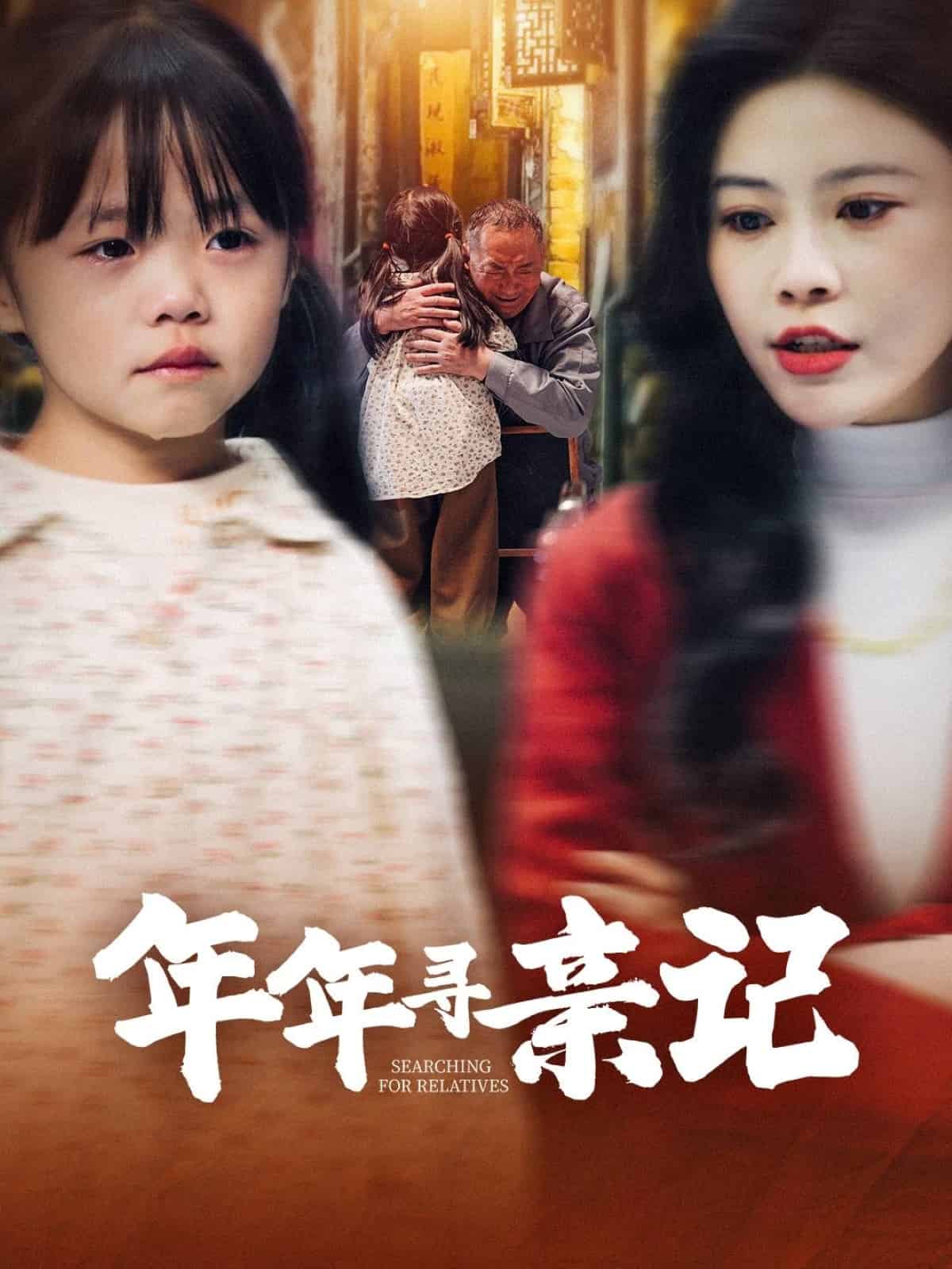 年年寻亲记 第26集