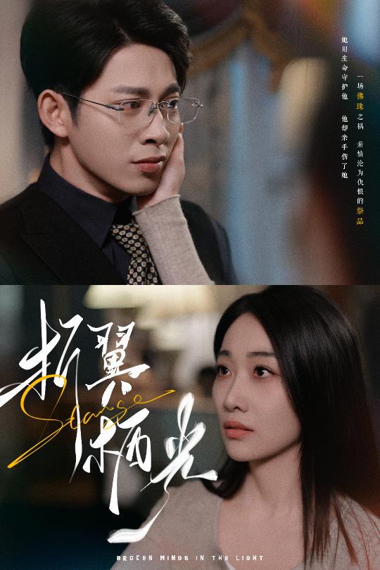 折翼栖光 第2集