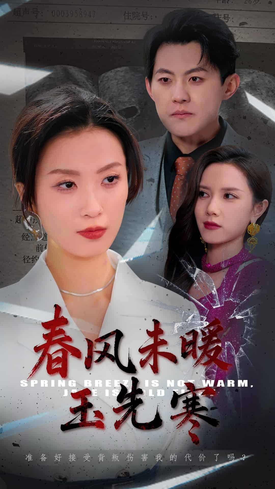 春风未暖玉先寒 第20集