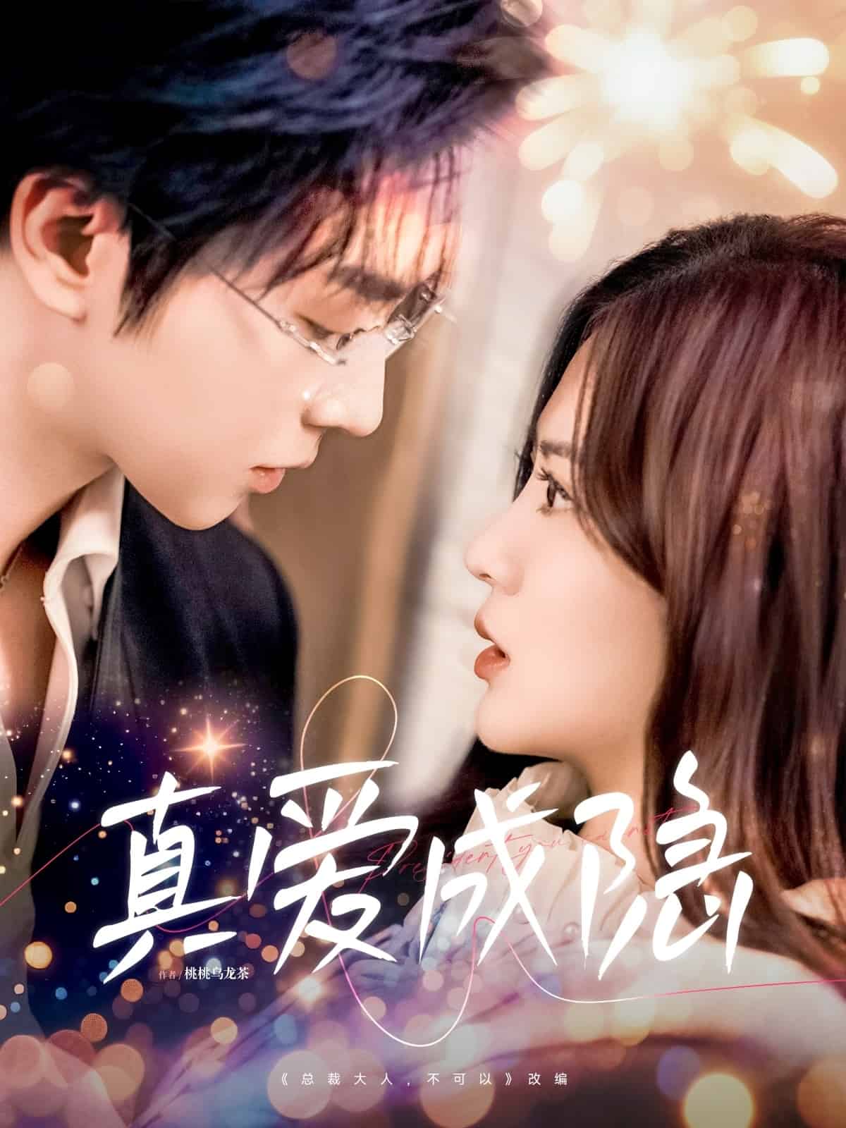 真爱成隐 第33集