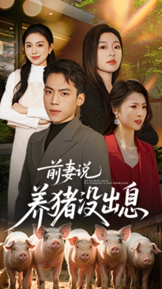 前妻说养猪没出息 第12集