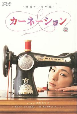 康乃馨 第144集
