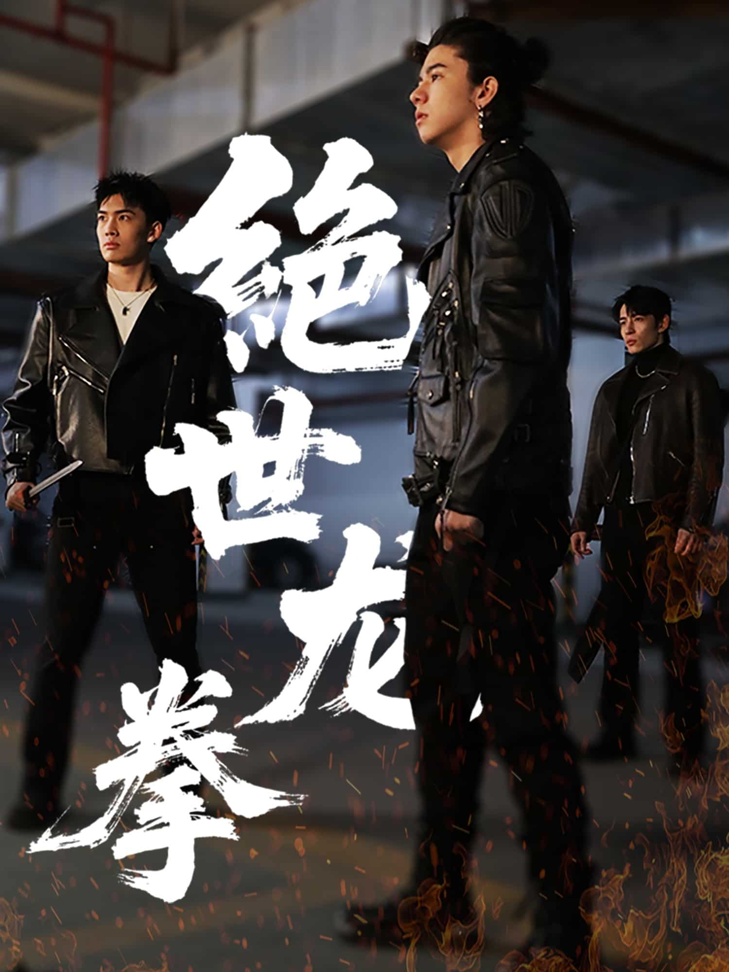 绝世龙拳 第5集