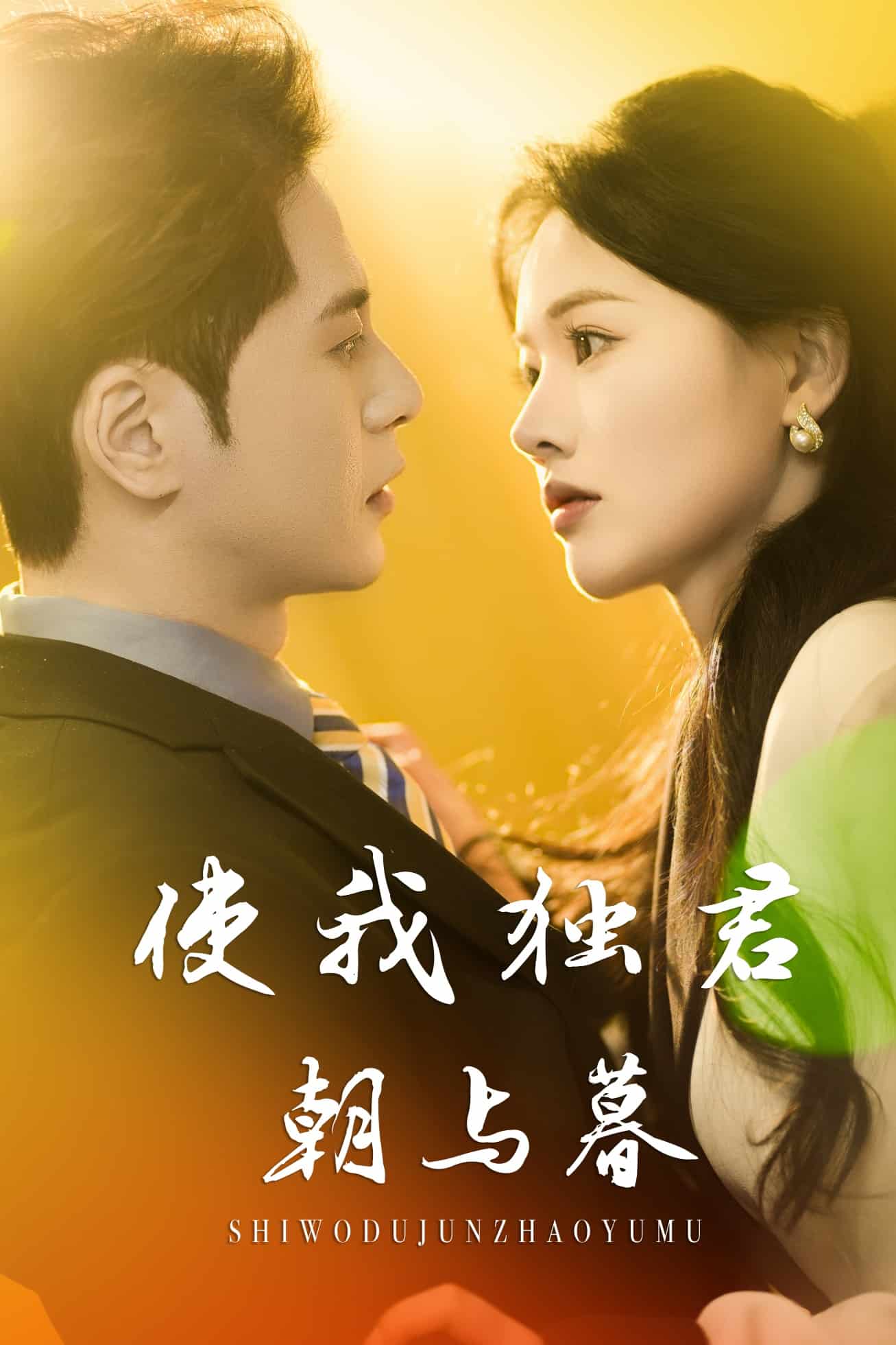 使我独君朝与暮 第21集