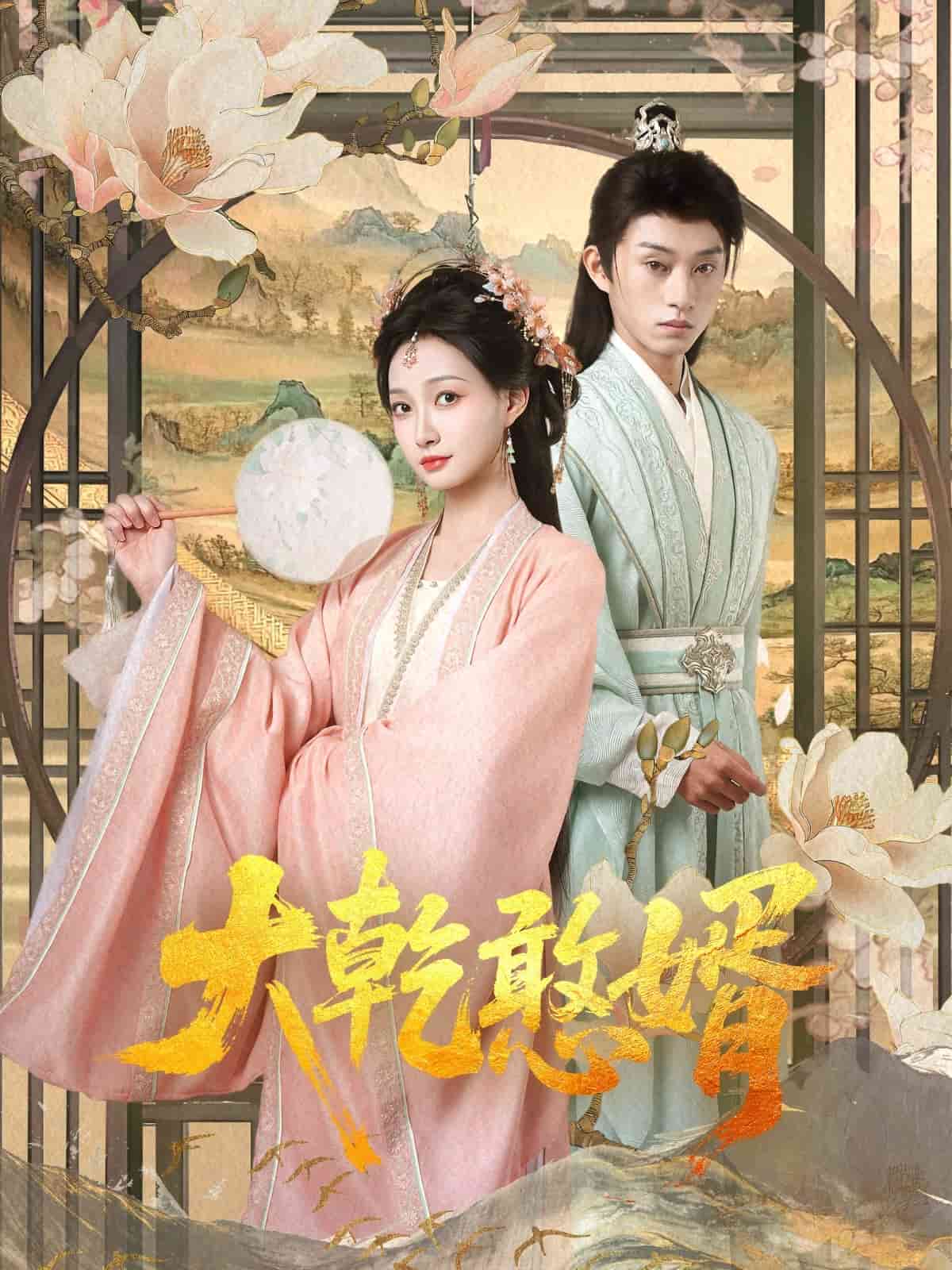 大乾憨婿 第41集