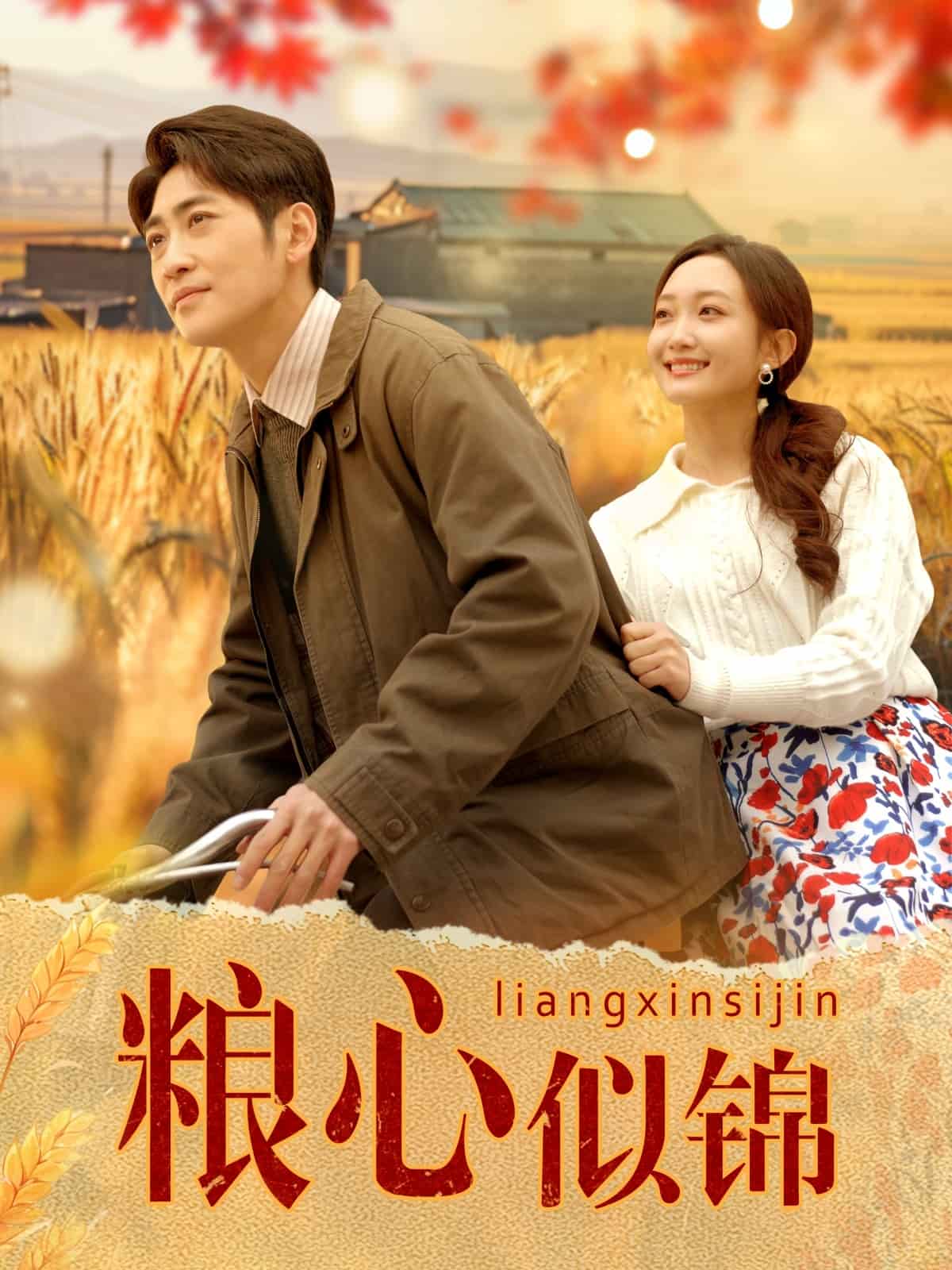 粮心似锦 第7集