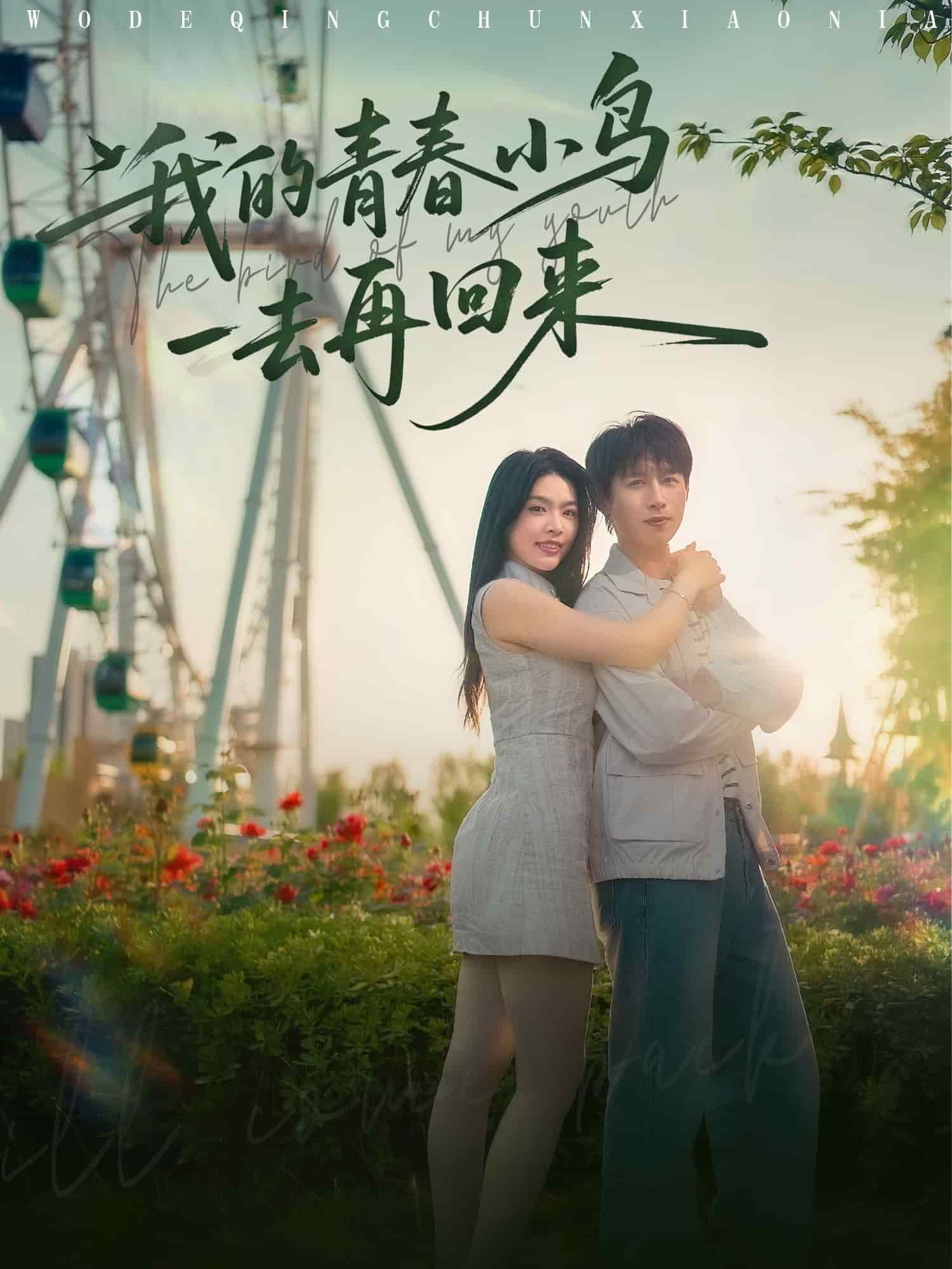 我的青春小鸟一去再回来 第77集