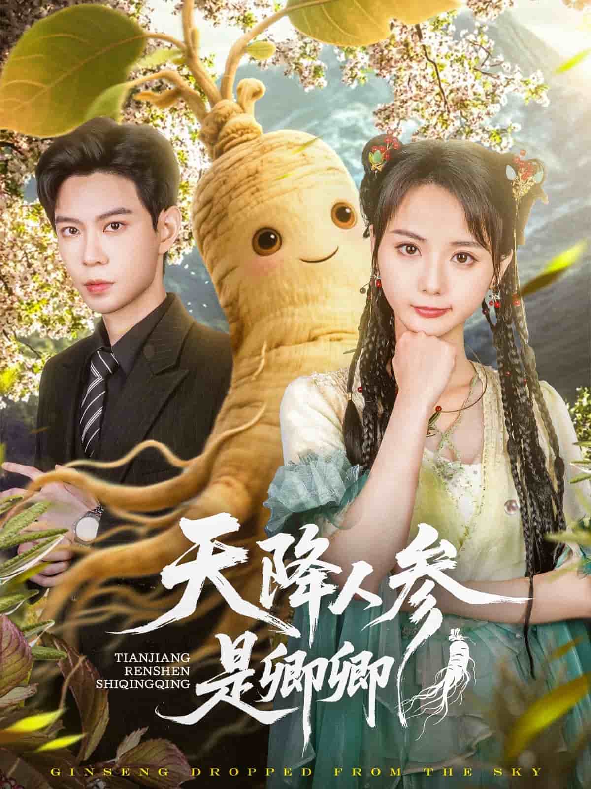天降人参是卿卿 第36集