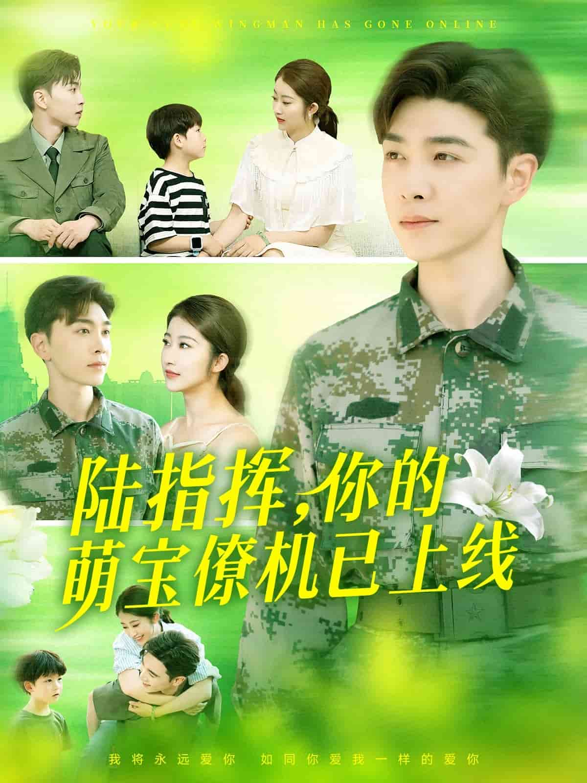 陆总你的萌宝已上线 第060集