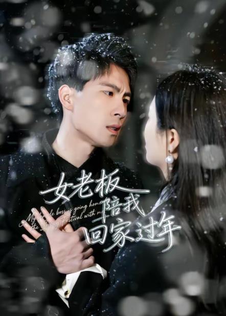女老板陪我回家过年 第28集
