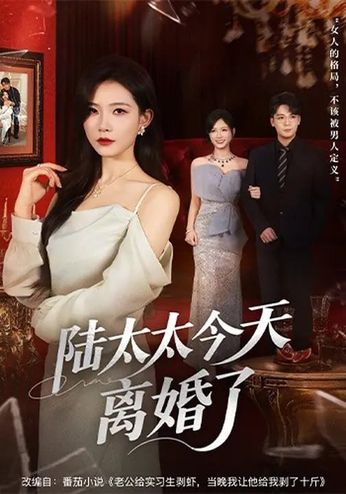 陆太太今天离婚了 第01集
