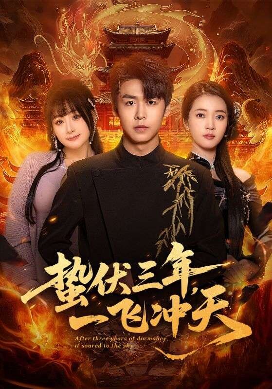 蛰伏三年，一飞冲天 第09集
