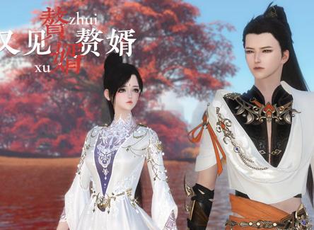赘婿又见赘婿 第11集
