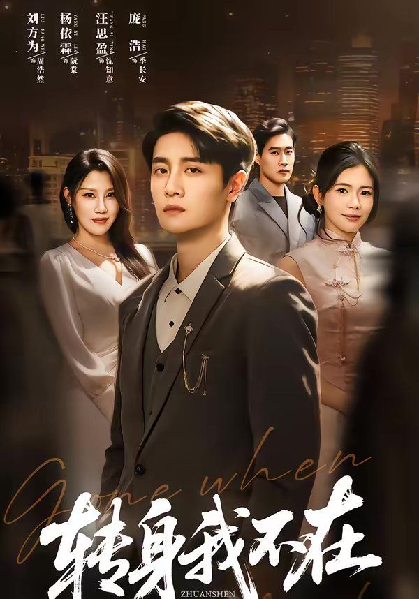 转身我不在(全集)